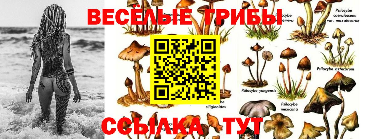 Галлюциногенные грибы мицелий  Псилоцибиновые грибы мицелий  Новоуральск  Вход с VPN 